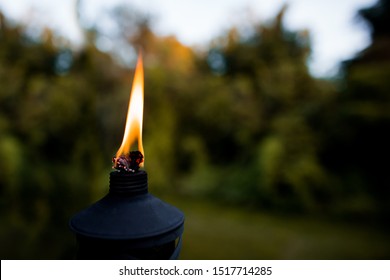 Close up view of a flame from the top of a tiki torch with a green background.