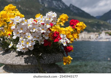 Close up view of flower pots with vibrant yellow and red flowers on wooden deck by lake. High quality photo - Powered by Shutterstock