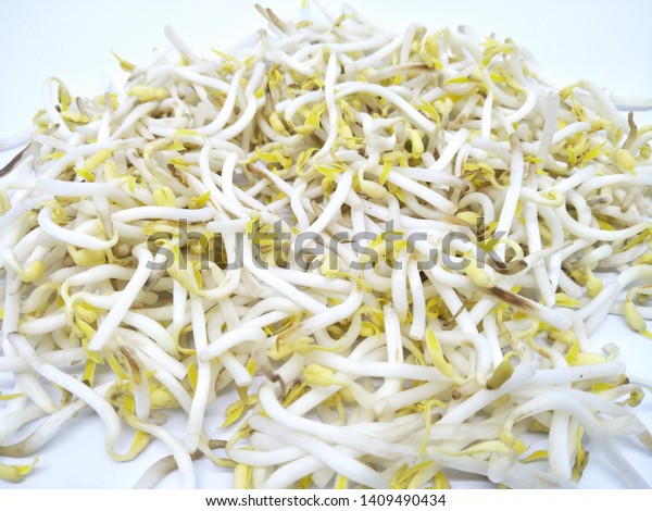 Close View Fresh Bean Sprout Tauge Stock Photo Edit Now 1409490434