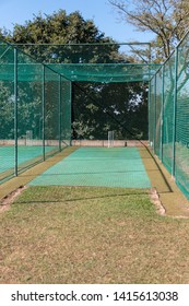 A close up view of a grass practice cricket nets 