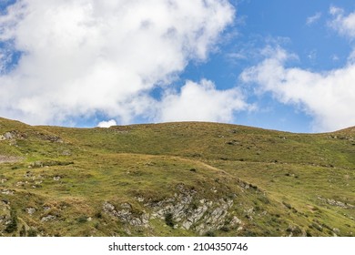 close up view of a grassy and green mountain slope with blue sky with white clouds at daytime during summer season, mount Dimon, FVG region, Italy