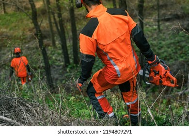 Close up view of an hand holding a chainsaw. Lumberjack at work wears orange personal protective equipment. Gardener working outdoor in the forest. Security, professionalism, occupation worker concept