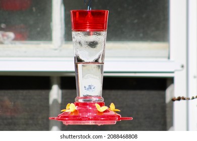 A close up view of a hanging, empty, hummingbird, tube feeder that is pinched with flowers and perching spots. The feeder is easily seen through the clear window.