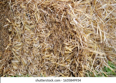 Close up view of hay bale 
