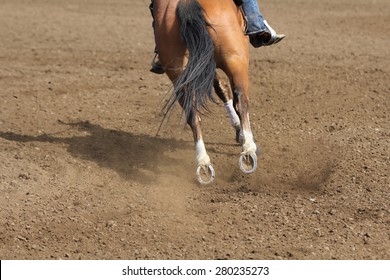A close up view of a horse running in dirt.
