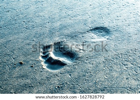 Close up view of human bare footprint on wet black sand with other sea creature trails
