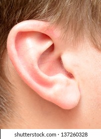 Close Up View Of Human Ear