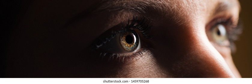 close up view of human eye looking away in dark, panoramic shot