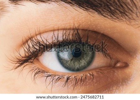 close up view of human gray eye with eyelashes and eyebrows