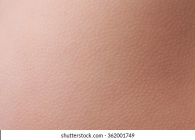 Close Up View Of A Human Skin (woman)