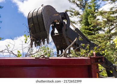 Close up view of the hydraulic arm and scoop bucket of a heavy excavator machine, filling a large red dumping lorry with tree branches after storm.