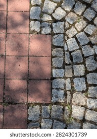 Close view of interlocking brick paving and gray cobblestones on outdoor walkway, showing weathered texture, dark seams, moss, small green weeds, and scattered plant growth in damp cracks near edges