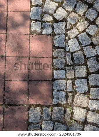 Close view of interlocking brick paving and gray cobblestones on outdoor walkway, showing weathered texture, dark seams, moss, small green weeds, and scattered plant growth in damp cracks near edges