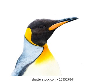 2,777 Penguin side Stock Photos, Images & Photography | Shutterstock