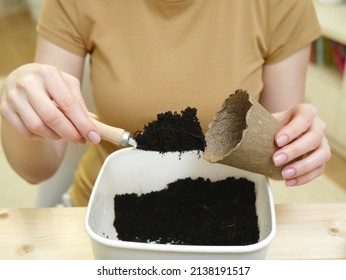 Close up view of laying out ground in peat pot. Female gardener working in home. Concept of growing greenery at home. - Shutterstock ID 2138191517