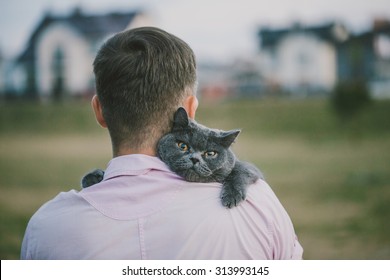 Close Up View Of Man Holding A Cat