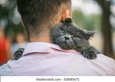 Close Up View Of Man Holding A Cat