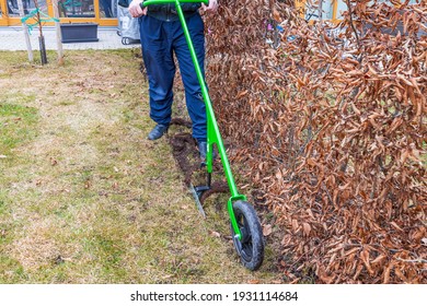 Close Up View Of A Man Removing Excess Sod Under Bushes In Early Spring. Home Gardening Concept. Sweden.