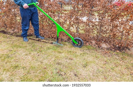 Close Up View Of A Man Removing Excess Sod Under Bushes In Early Spring. Home Gardening Concept. Sweden.