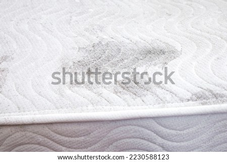 Close up view of molding mattress in home room indoors, health hazard concept.