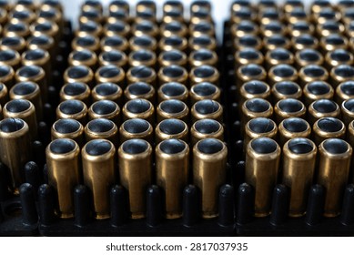 Close up view of multiple non lethal handgun cartridges with black rubber bullets arranged in plastic organizer tray.