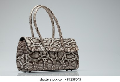 Close Up View Of  Nice Small  Snake Skin  Ladie's  Bag On Grey Back