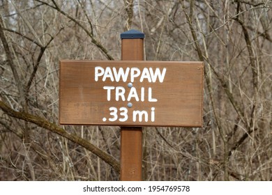 A Close View Of The Old Brown Wood Trail Sign In The Forest.