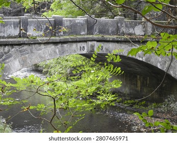 Close view of an old stone arch bridge above a shallow stream, partly obscured by green foreground branches. The historic masonry and waterway setting can fit rural bridge, woodland path, travel, infrastructure, forest stream and heritage themes, but the branches cover too much of the main subject.
