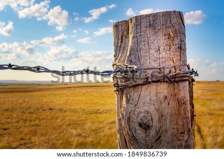 Close up view of an old, weathered fence post that is wrapped in rusty barbed wire and was shot late in the day with lots of grass and clouds in the background