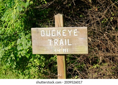 A Close View Of The Old Wood Trail Sign In The Park.