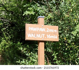 A Close View Of The Old Wood Trail Sign On The Trail In The Forest.