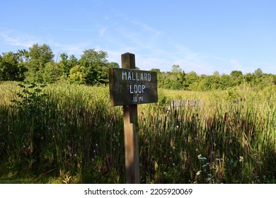 A Close View Of The Old Wood Trail Sign.