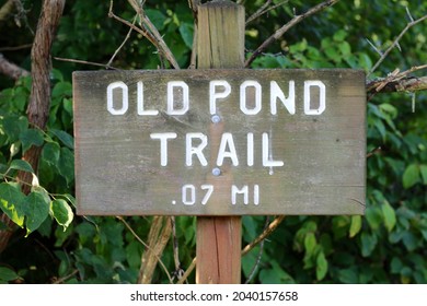 A Close View Of The Old Wooden Trail Sign In The Park.