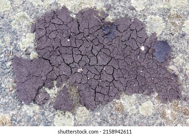 Close up view on dry agricultural field grounds with cracks and tracks - farming background