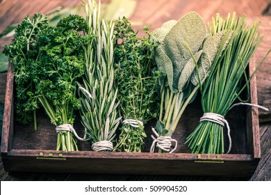 close view on fresh herbs bunch - Shutterstock ID 509904520