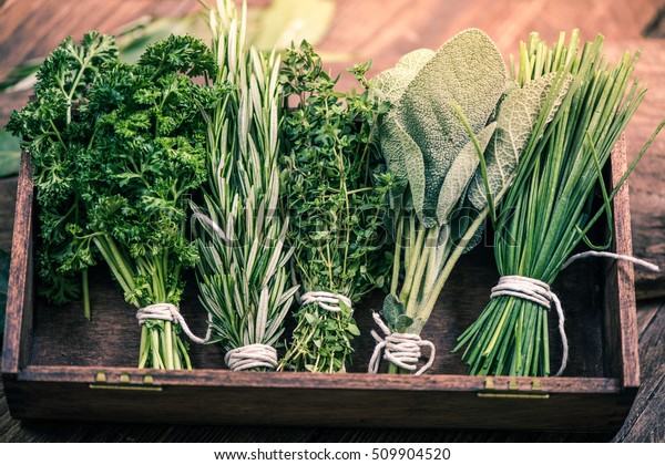 close view on fresh herbs\
bunch