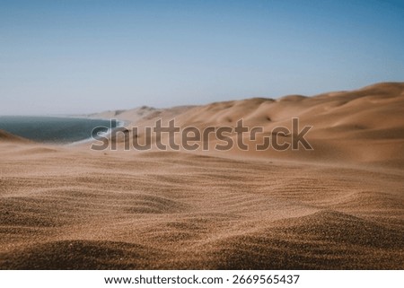 Close up view on sand wavelets blown by the wind
