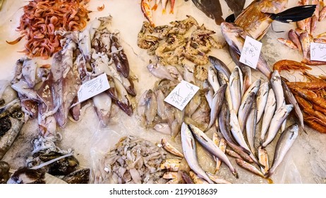 Close Up View On A Table Full Of Sea Food On The Daily Fish Market In Catania, Sicily, Italy, Europe. Stall With Different Types Of Fresh Seafood - Fish, Shrimps, Mussels, Octopus, Squid. La Pescheria