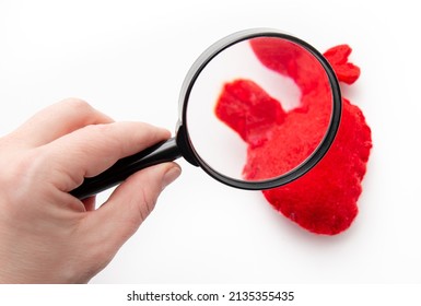 Close Up View Of Person Hand Looking Red Felt Heart Organ Through Magnifying Glass. Health And Medical Concept.