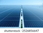 Close up view of photovoltaic solar cells on solar farm early in the morning. Solar cell farm power plant. Solar panel texture background