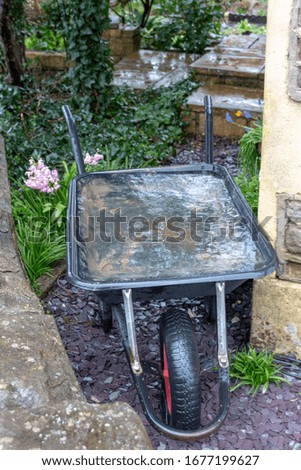 a close up view of a plastic wheel barrow fulled with rain water in a garden 