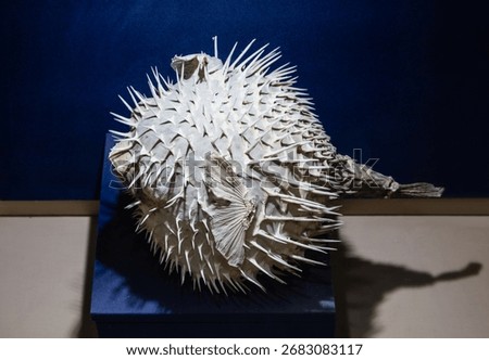 Close up view of puffer fish (stuffed animal)