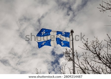 Close view of a Quebec flag waving from a pole against a cloudy sky, with the blue and white Fleur de Lys design visible and bare winter branches framing the Canadian provincial symbol.