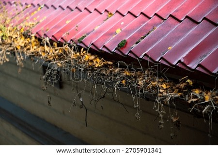 A close view of a rooftop gutter in Latvia filled with fallen autumn leaves and twigs, showing seasonal change.
