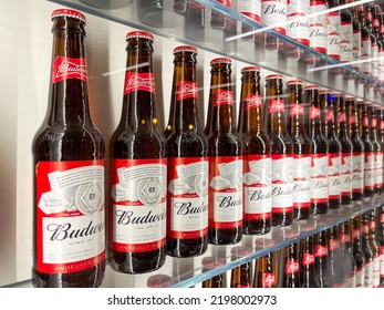 Close Up View Of A Row Of Budweiser Beer Bottles In A Fridge. No People.