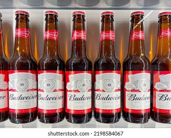 Close Up View Of A Row Of Budweiser Beer Bottles In A Fridge. No People.