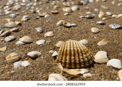 A close up view of smooth polished multicolored stones washed ashore on the beach.