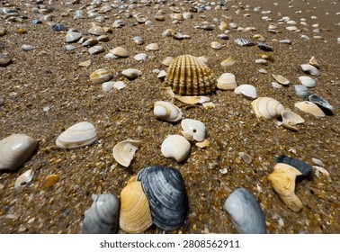 A close up view of smooth polished multicolored stones washed ashore on the beach.
