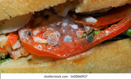 Close up view of spoiled sandwich, rotten moldy inedible expired food, isolated on white background.