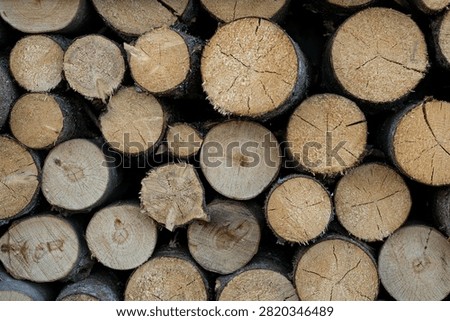 Close up view of stacked cut tree logs showing natural wood grain, growth rings and bark texture.